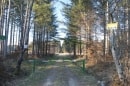 Forêt de Chabet D195